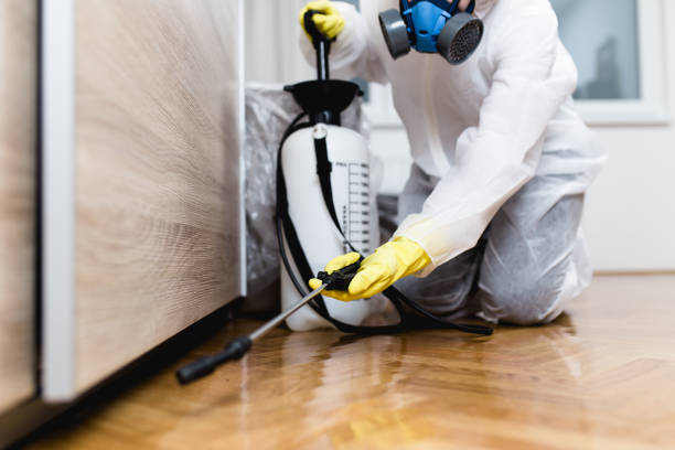 Reliable Albany, LA Pest Control Solutions