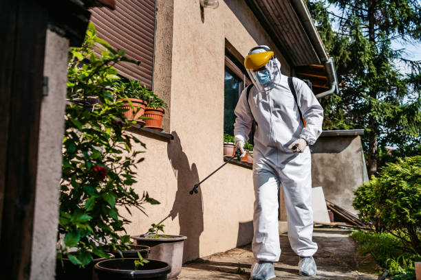 Best Pest Control Near Me in Albany, LA