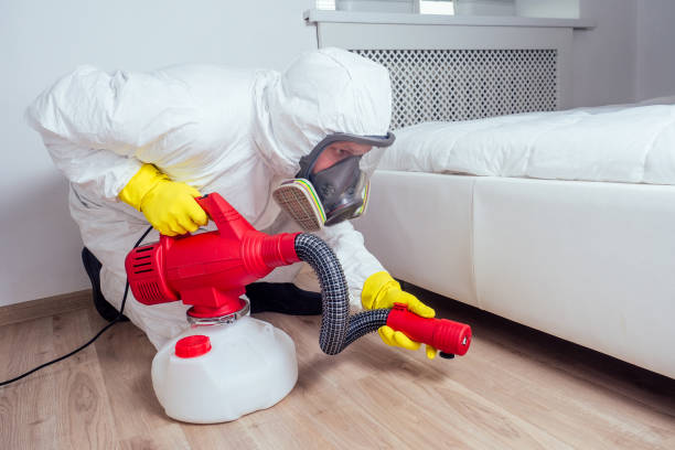 Best Residential Pest Control  in Albany, LA