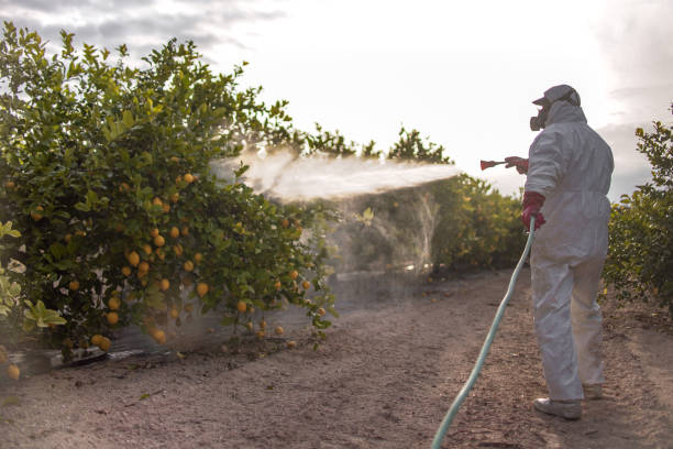 Best Pest Prevention Services  in Albany, LA