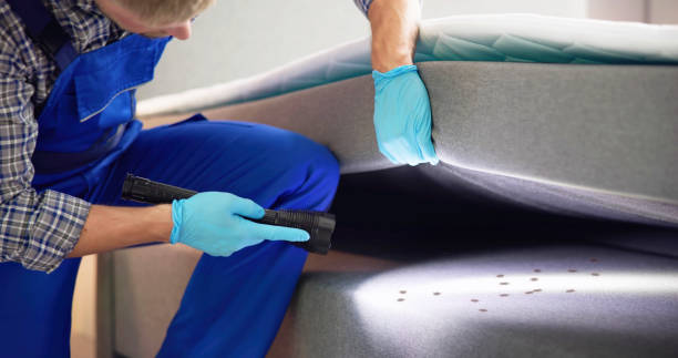 Best Best Pest Control Near Me  in Albany, LA