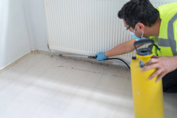 Best Cockroach Control Services  in Albany, LA