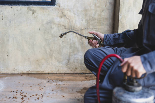 Best Best Pest Control Companies  in Albany, LA